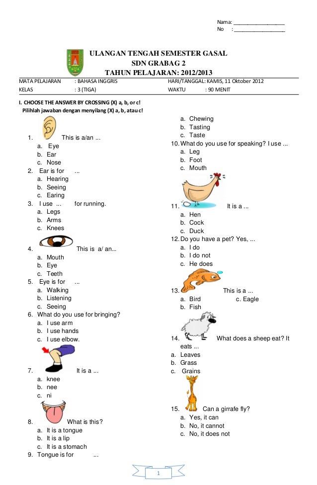 Contoh Soal English Kelas 1 SD Ternyata Punya 5 Pola Rahasia Ini, Wajib Tahu Sebelum Ulangan BAB 1 Semester 1